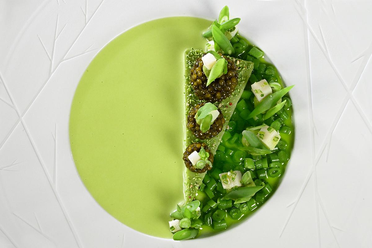 Haricots verts de Vinzel